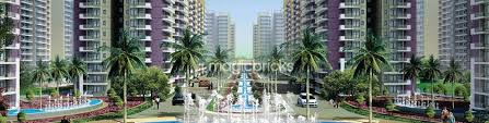 Property Highlights